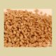 Prairie Gold Hard White Spring Wheat - Wheat Montana (25 Pounds)